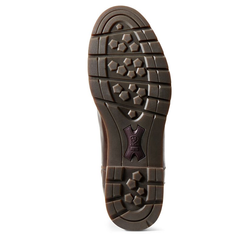 Ariat Carden Waterproof Boots Ženske Duge Čizme Čokoladne Maslinasto Zelene | HR-564331