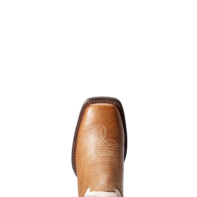 Ariat Cattle Drive Ženske Čizme Za Kaubojku Smeđe Krem | HR-403190