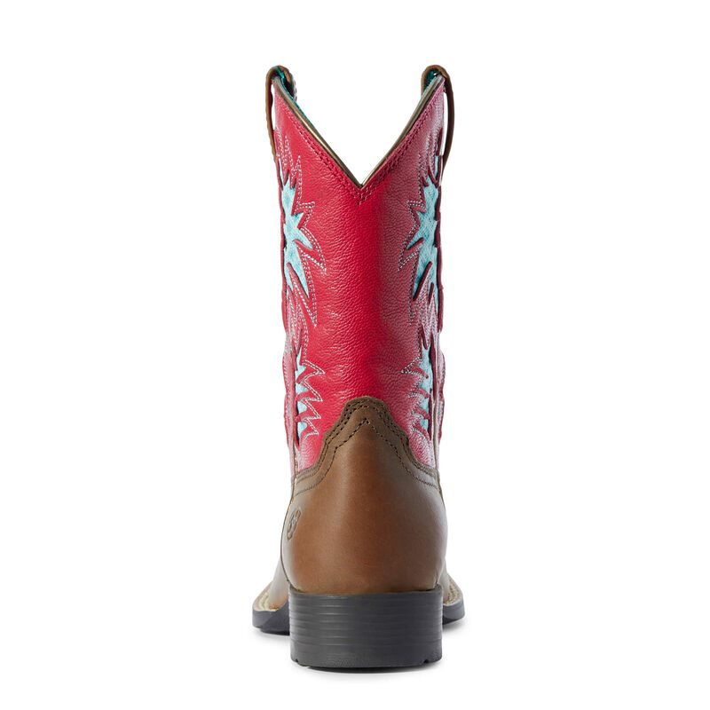 Ariat Cowboy VentTEK Dječje Kaubojske Čizme Smeđe Roze | HR-969413
