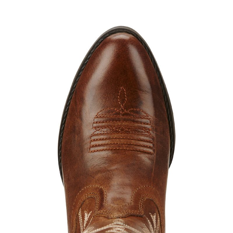 Ariat Desert Holly Dječje Zapadnjačke Čizme Smeđe | HR-701138