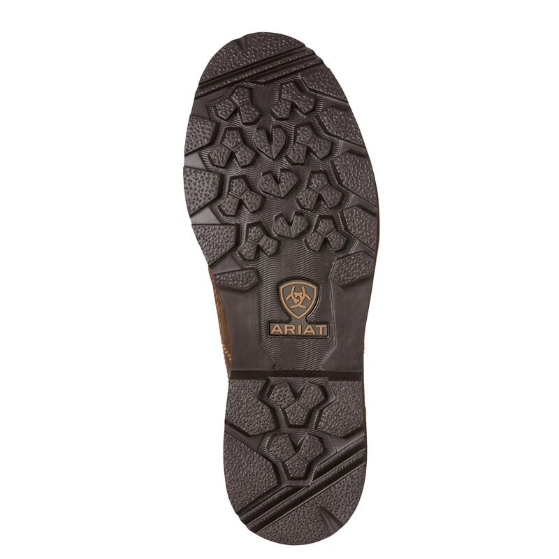 Ariat Exhibitor Boots Muške Zapadnjačke Čizme Smeđe | HR-543959