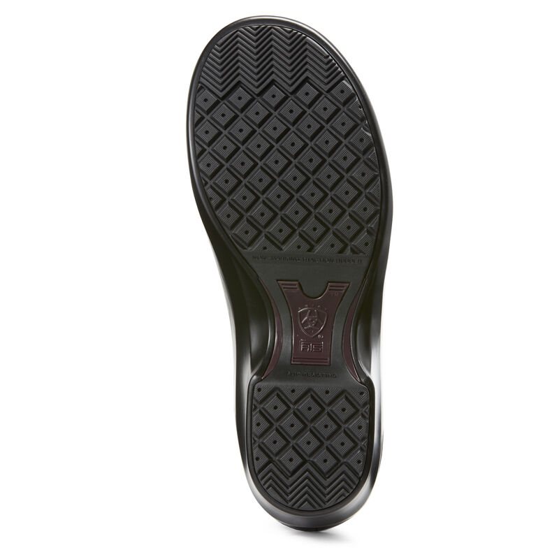 Ariat Hera Expert Clogs Ženske Klompe Crne | HR-260653