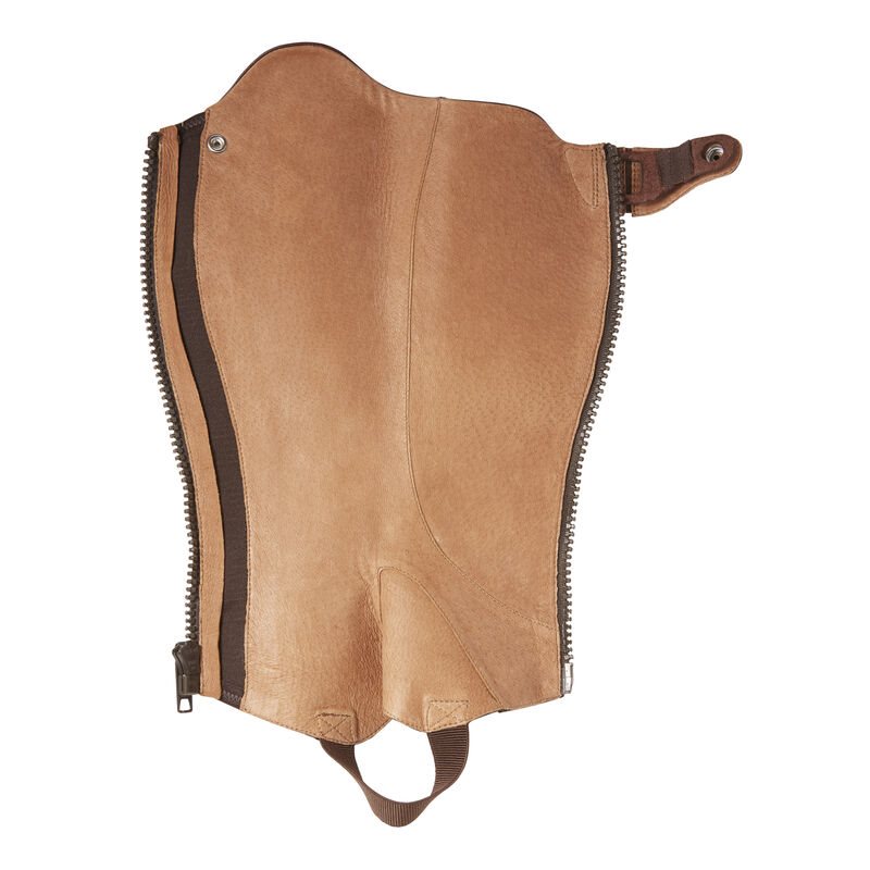Ariat Kendron Chap Half Chap Muške Half Chaps Bordo | HR-235098
