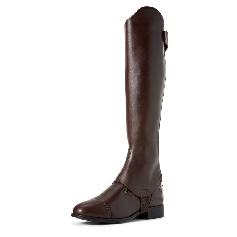 Ariat Kendron Chap Half Chap Muške Half Chaps Bordo | HR-235098