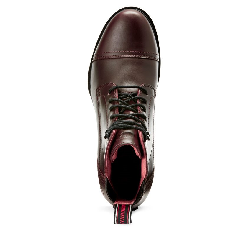 Ariat Performer Nitro Ženske Paddock Čizme Čokoladne | HR-453544