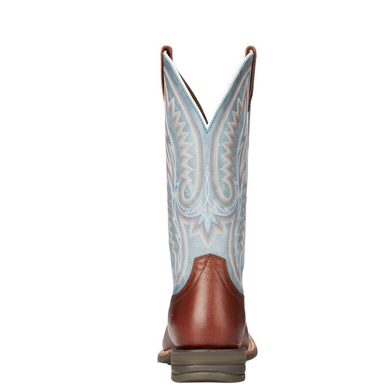 Ariat Relentless Advantage Muške Kaubojske Čizme Smeđe Srebrne | HR-537557