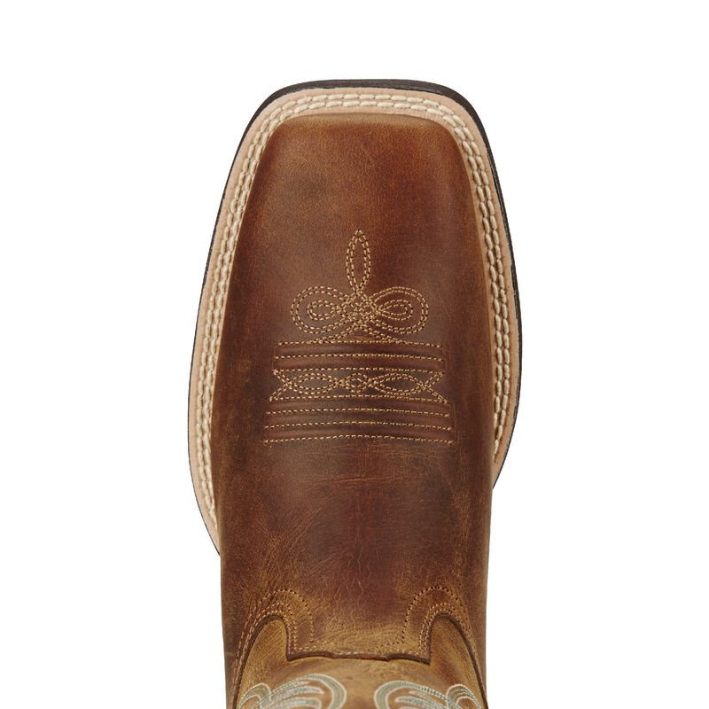 Ariat Round Up Wide Square Toe Ženske Čizme Za Kaubojku Smeđe | HR-433384