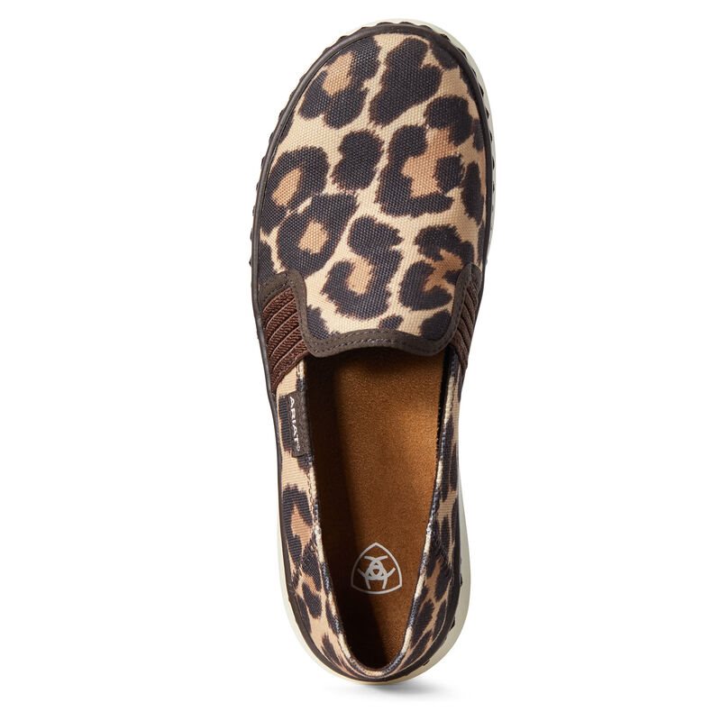 Ariat Ryder English Ženske Slip On Leopard | HR-828999