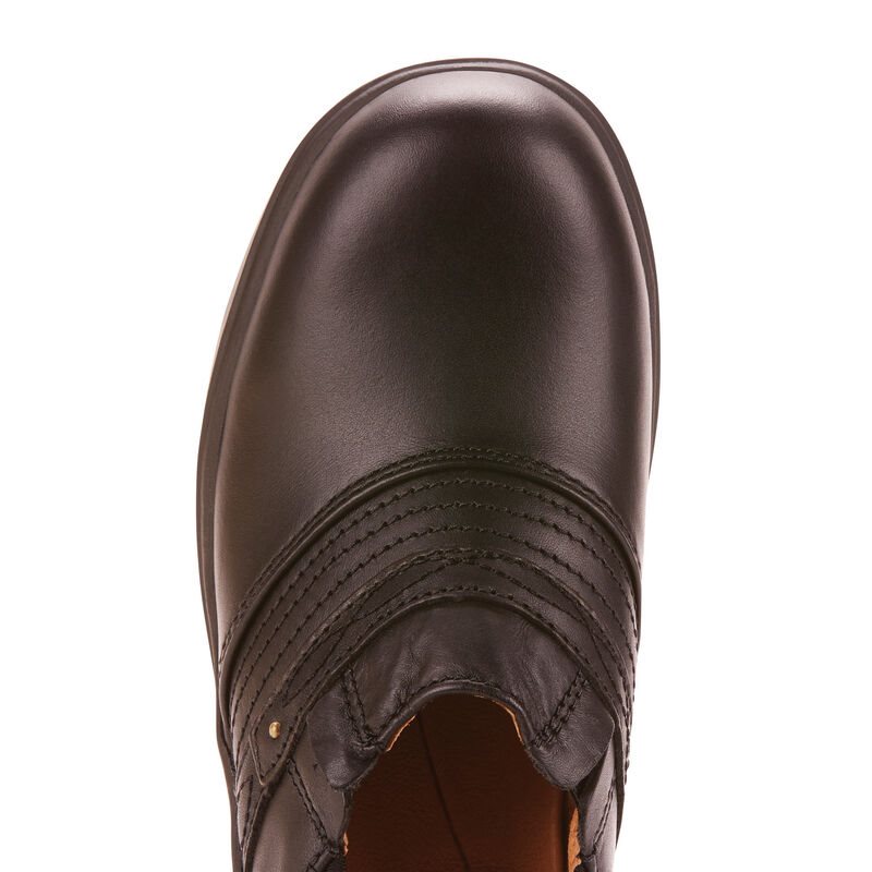Ariat Safety Clog Steel Toe Ženske Half Chaps Crne | HR-868974