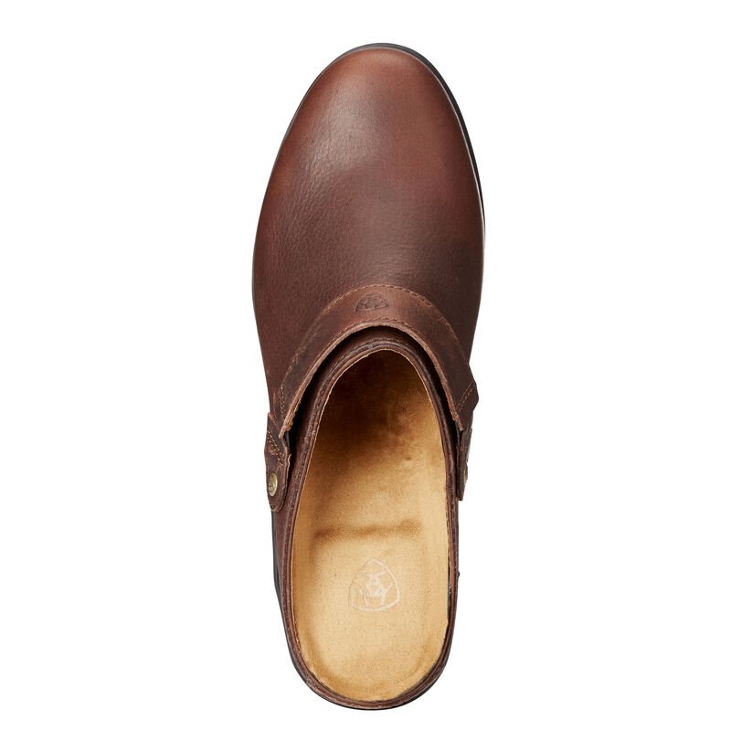 Ariat Sport Mule Ženske Mules Smeđe | HR-398155