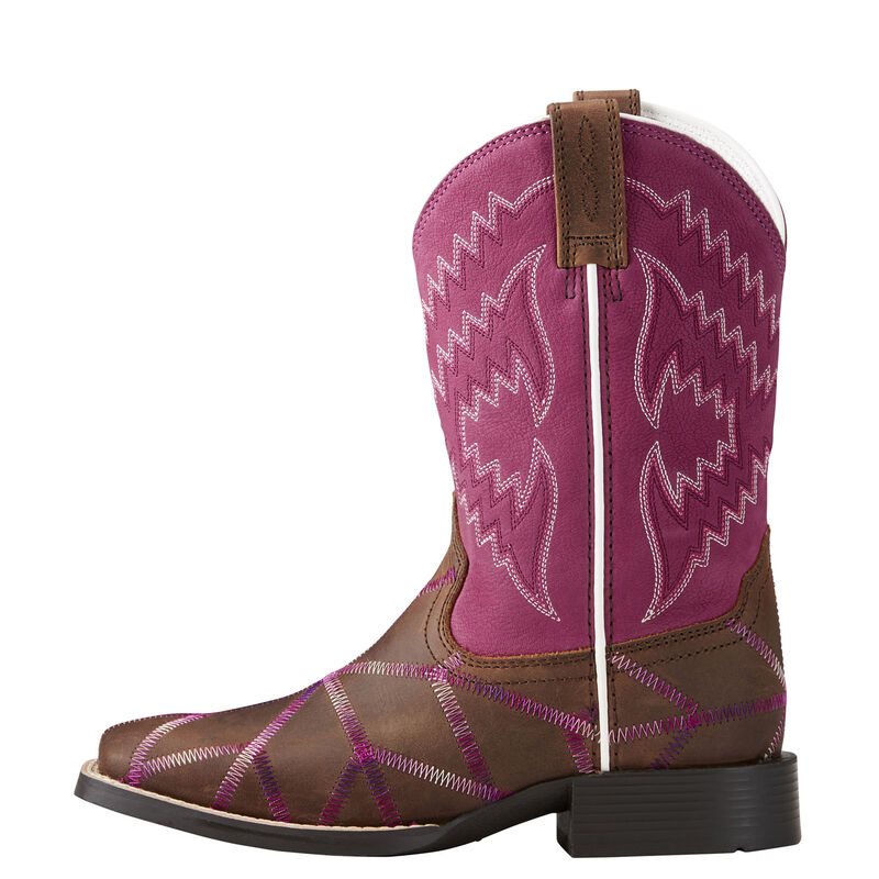 Ariat Twisted Tycoon Dječje Kaubojske Čizme Smeđe Ljubičaste Roze | HR-882252