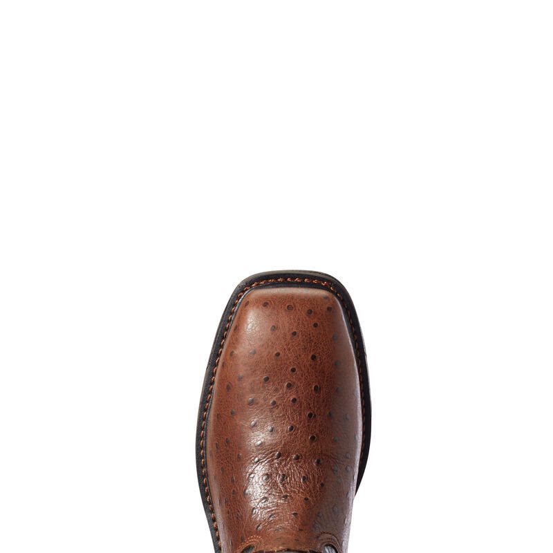 Ariat WorkHog Composite Toe Muške Radne Čizme Tamno Smeđe | HR-753505